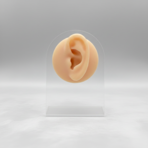 סטנד פירסינג אוזן ימין ESI476